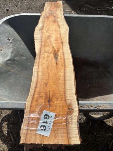 Tasso plancia legno di - legno,