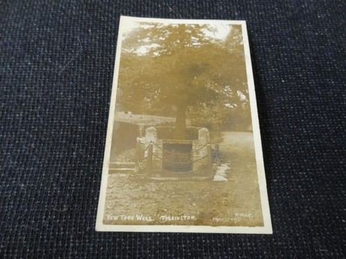 Yew tree well tissington - tree,