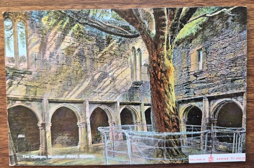 Muckross abbey killarney - muckross, abbey,