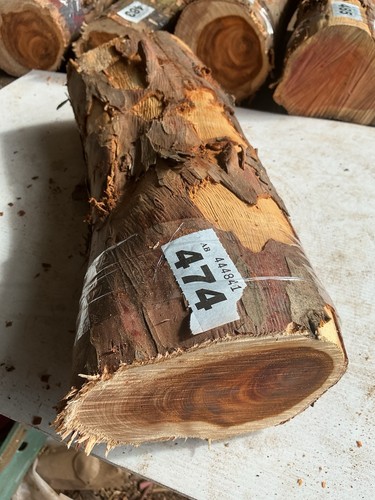 Legno tasso lunghezza di - legno,
