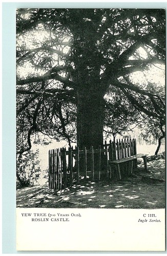 S02 9637 700 albero di - s02-9637,,