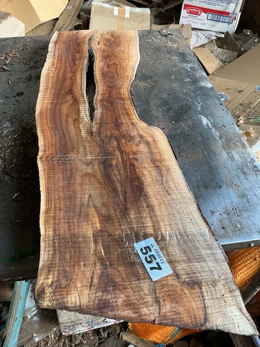 Tasso plancia legno - plancia,,