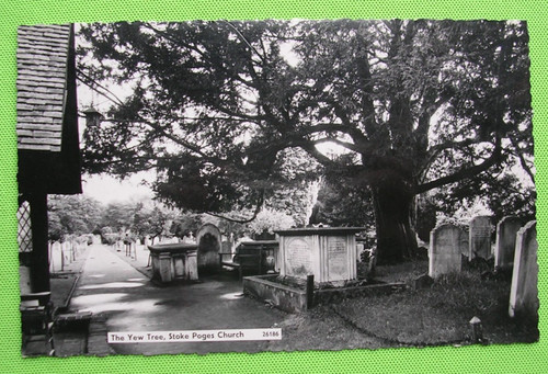 Free postage rppc - free,