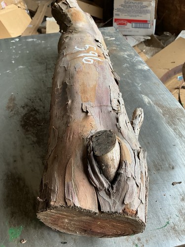 Tasso legno - di,