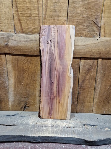 Lastra tasso live edge - , di