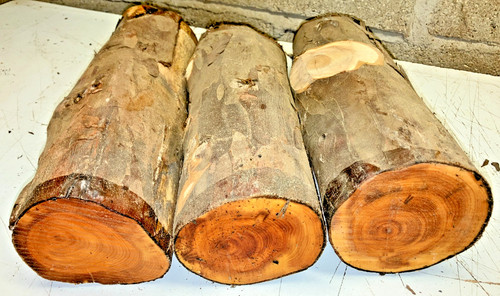 100mm diametro lotto - 80-100mm,