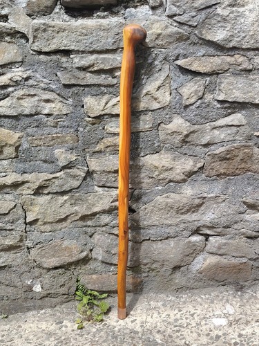Bastone passeggio attraente - passeggio,