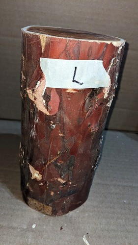 Tronco tornitura intaglio - tronco, o