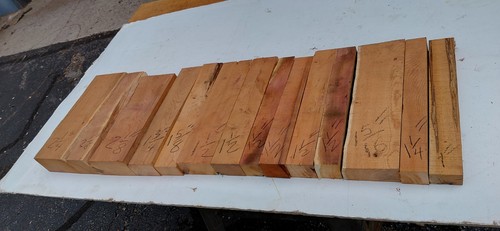 Legno tasso del pacifico - del,
