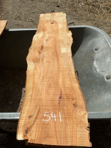 Tasso plancia legno - legno, di