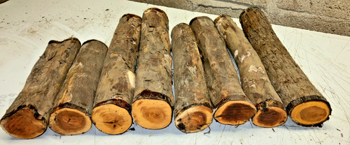 60mm diametro 8pz - diametro,