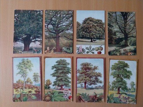 Trees postcard lot yew - trees.,