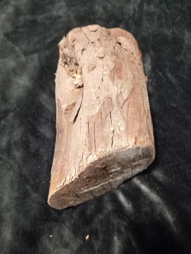 Tronco legno tasso per - di,