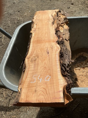 Tasso plancia legno di - legno,