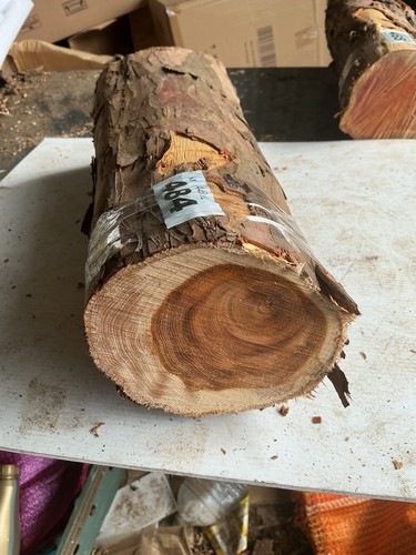 Legno tasso lunghezza - legno, di