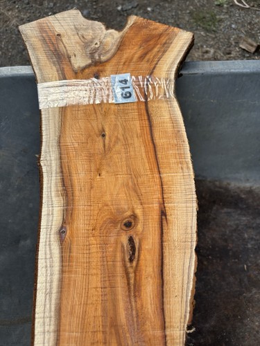 Tasso plancia legno di - plancia,,