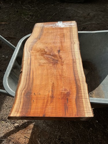 Tasso plancia legno - tasso, di