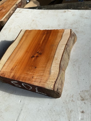 Blocco tasso legno - tasso,, di