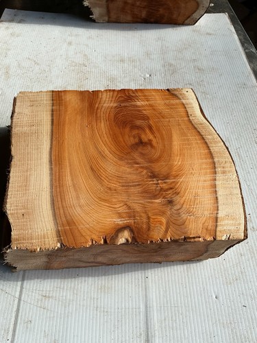 Blocco tasso legno - di,
