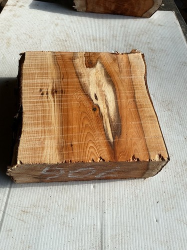 Blocco tasso legno di - legno,