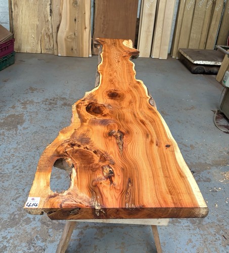 Tavole yew waney edge - yew, 40