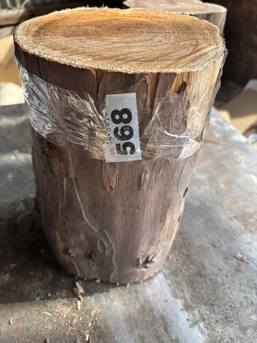 Legno tasso lunghezza del - legno, di