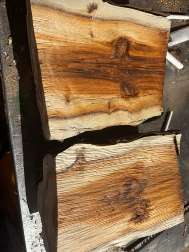 Lunghezze tasso legno di - lunghezze,