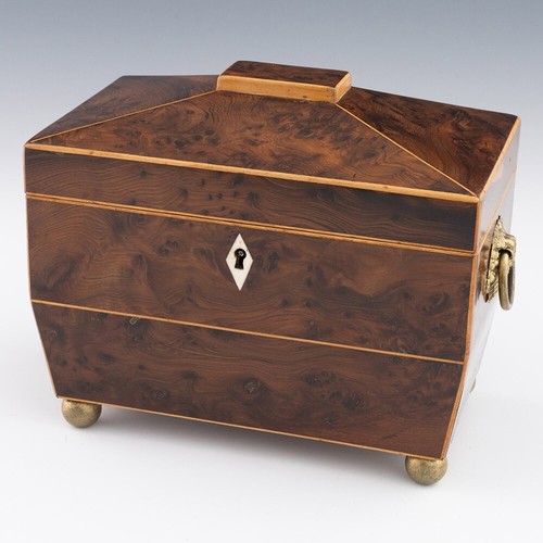 Regency tea caddy sarcofago - tea,
