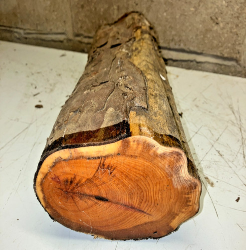 110x125x420mm lotto 843a tasso - 110x125x420mm,