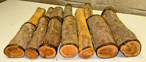 80mm diametro 12pz - 45-80mm,