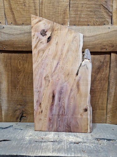 Lastra tasso live edge - di,