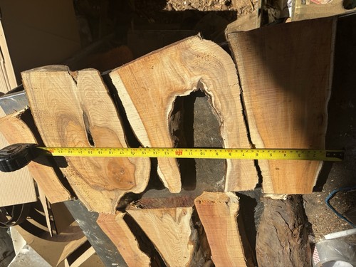 Tagli tasso legno di - tasso,,