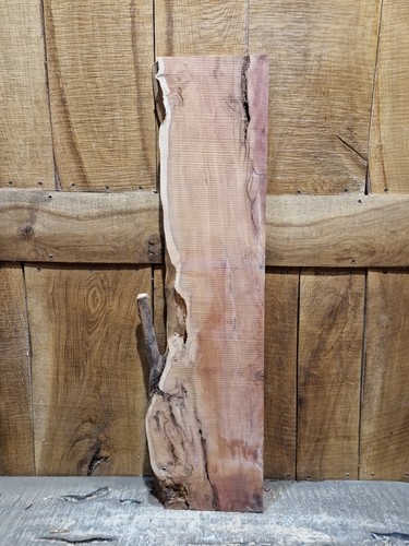 Lastra tasso live edge - di,